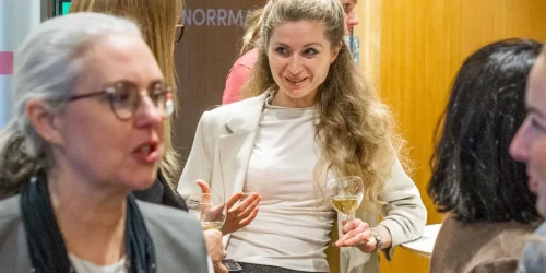 Nationellt medlemskap- wonder women - kvinnliga entreprenörer